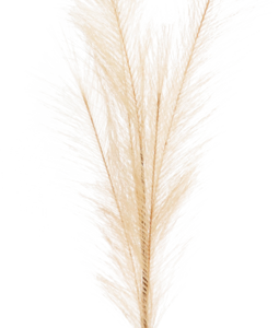 5982 PLUME SAND 80CM